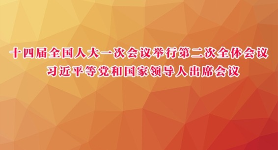 十四届全国人大一次会议举行第二次全体会议 习近平等党和国家领导人出席会议