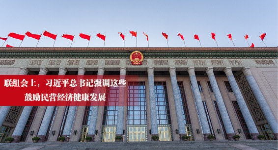 学习进行时丨联组会上，习近平总书记强调这些鼓励民营经济健康发展